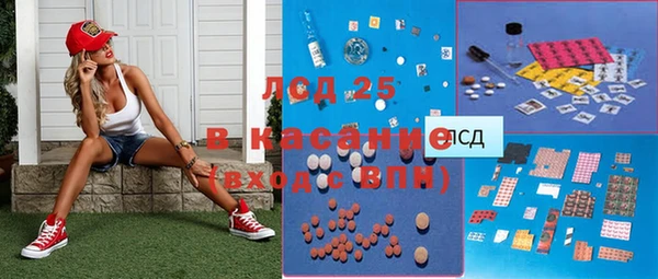 стаф Грязовец
