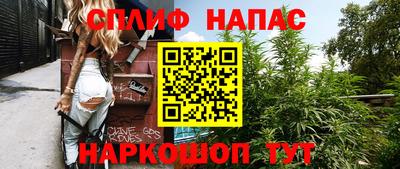 сатива Заволжье