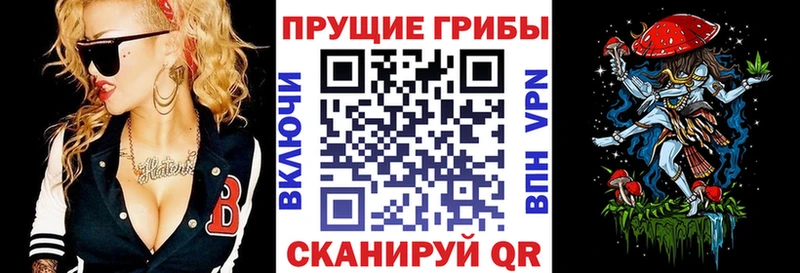 Галлюциногенные грибы Psilocybine cubensis  Муром 