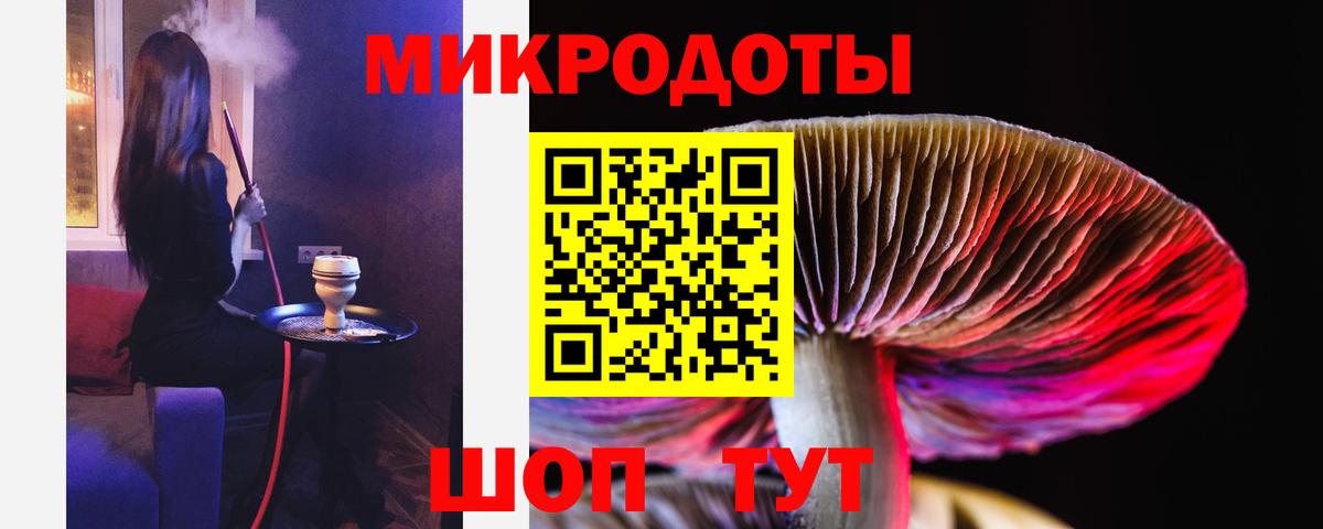 Муром  сколько стоит  Вход с VPN  Галлюциногенные грибы GOLDEN TEACHER 