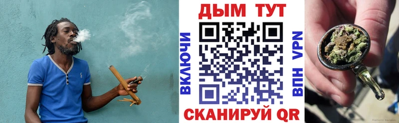 где можно купить Муром Каннабис тримм